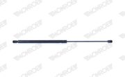 Gasfeder, Koffer-/Laderaum FORD C-MAX