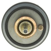 Thermostat, Kühlmittel VW AMAROK