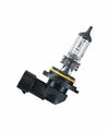 Produktbild für H10 Original 42W (1 Stk.)