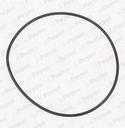 Dichtung, Wasserpumpe FIAT COUPE