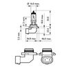 Produktbild für Glühlampe, Nebelscheinwerfer
