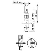 Glühlampe, Hauptscheinwerfer FIAT PUNTO