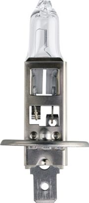 Glühlampe, Nebelscheinwerfer CITROËN XSARA