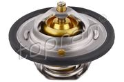 Thermostat, Kühlmittel FORD PUMA