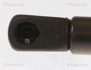 Gasfeder, Koffer-/Laderaum HYUNDAI i20