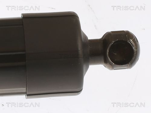 Produktbild für Gasfeder, Koffer-/Laderaum