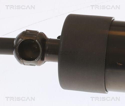 Produktbild für Gasfeder, Koffer-/Laderaum