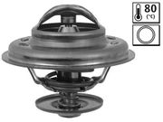 Thermostat, Kühlmittel BMW