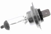 Glühlampe, Fernscheinwerfer Original VEMO Qualität RENAULT MEGANE