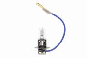 Glühlampe, Arbeitsscheinwerfer Original VEMO Qualität OPEL TIGRA
