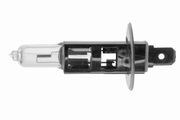 Glühlampe, Fernscheinwerfer Original VEMO Qualität CITROËN XSARA PICASSO