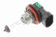 Glühlampe, Nebelscheinwerfer Original VEMO Qualität DACIA DOKKER