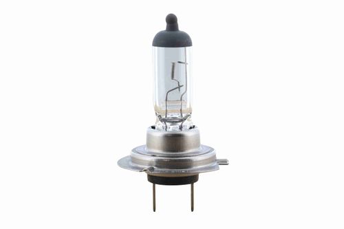 Produktbild für Glühlampe, Fernscheinwerfer Original VEMO Qualität